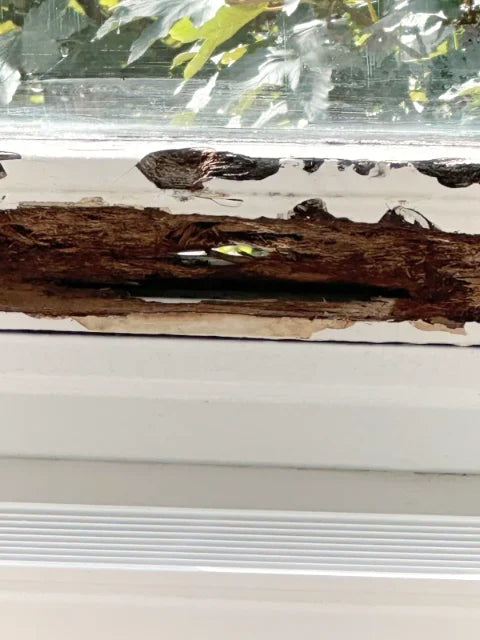Raamhout en afwerking — Aangetaste raamonderdelen en afzonderlijke beelden van geschilderd raamhout.