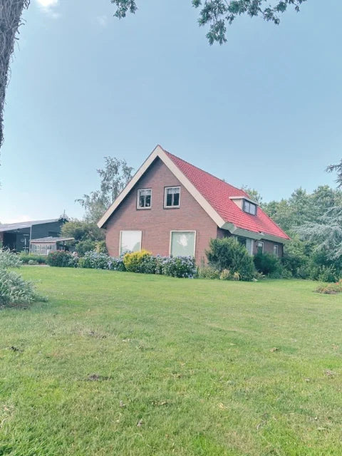 Buitenschilderwerk — Werkbeelden van verschillende gevels, kozijnen en houten buitenwanden.