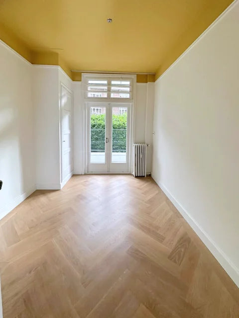 Klassieke kamers en sierlijsten — Verfwerk langs deuren, lijsten en plafondranden.