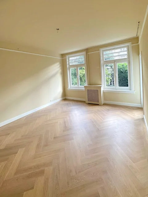 Klassieke kamers en sierlijsten — Verfwerk langs deuren, lijsten en plafondranden.