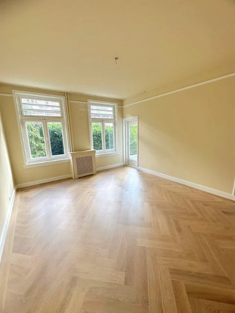 Klassieke kamers en sierlijsten — Verfwerk langs deuren, lijsten en plafondranden.